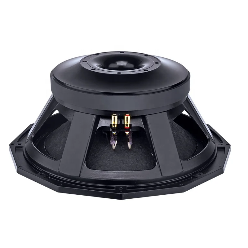 Best Selling 18in Subwoofer - Powerful for Professional Stages