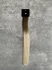 AB (20g)