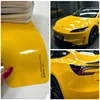 Sunflower Yellow