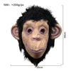 Black Hairy Monkey