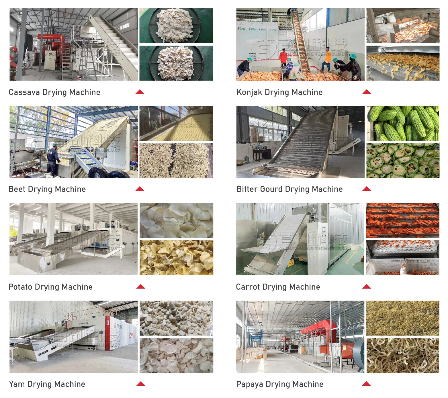 Automatic Stainless Steel Sea Vegetable Mesh Belt Dryer Pump High Efficiency Low Consumption Food Processing Seaweed Drying