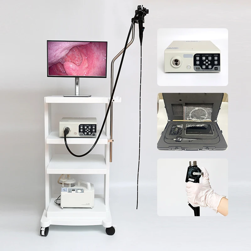 Big Forceps Channel Gastroscope Upper and Lower GI Tract Work in Small Animals and Airways Equine Endoscopy
