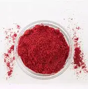 Lingonberry Juice Extract Powder Procyanidine 25% China Frozen Lingonberry Powder