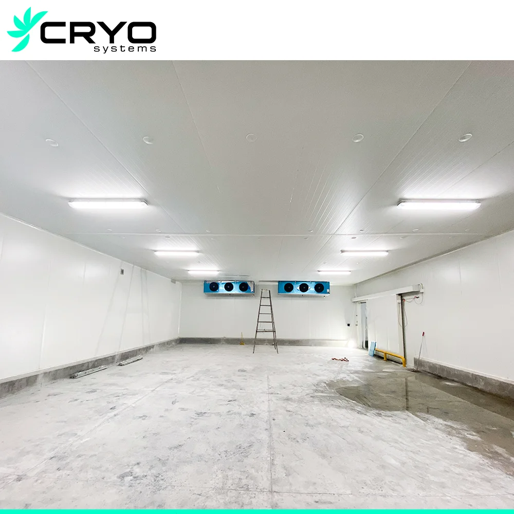 Commercial Cold Room of 40 M3 for Massive Cold Storage Requirements Cold Room