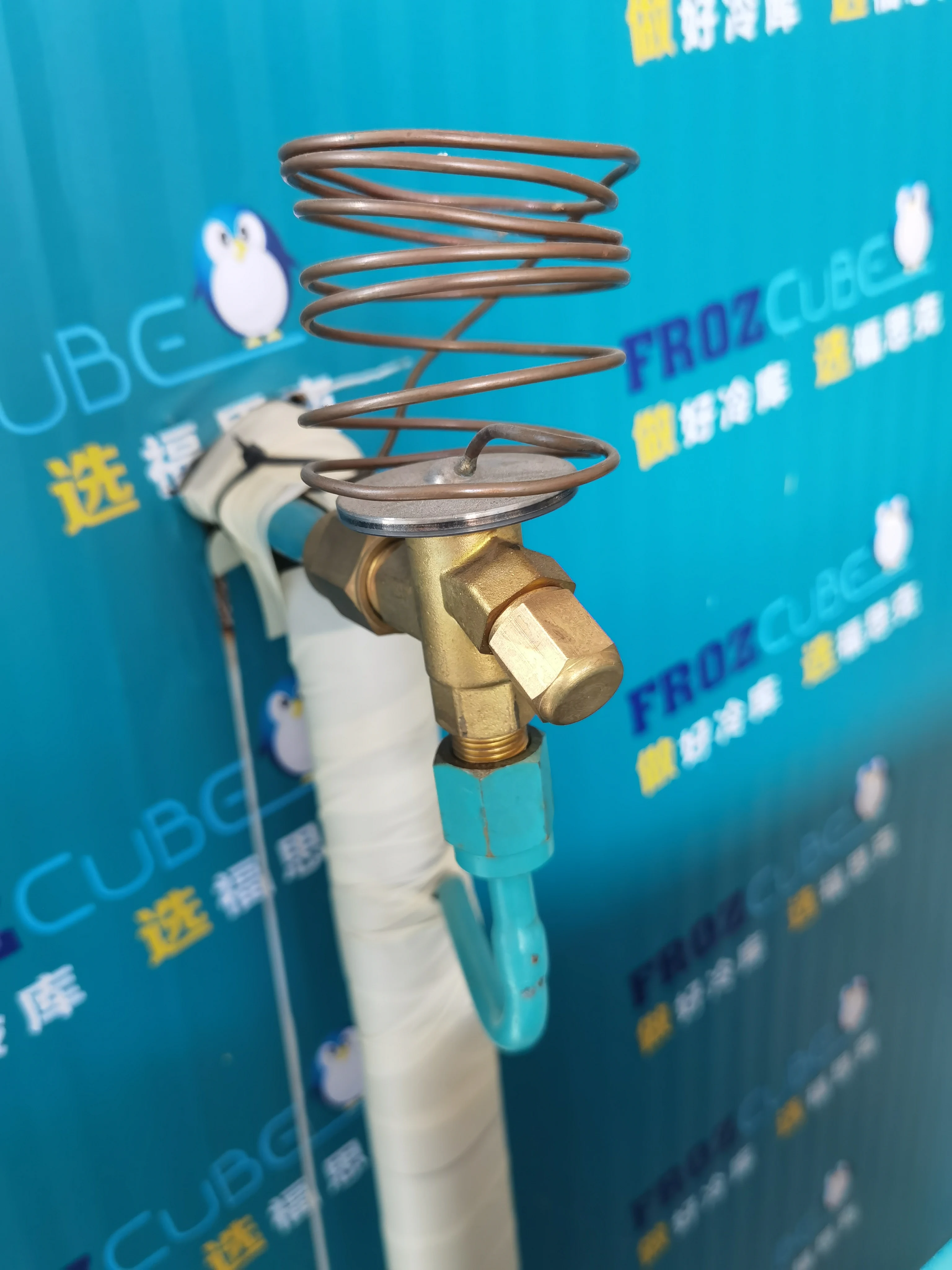 Thermostatic Expansion Valve, HFCs - detail 18