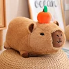 water guinea pig toy 20cm