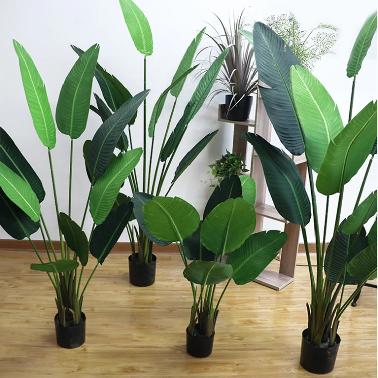 1 2m 1 5m 1 8m Real Touch Plastic Travaler Banana Tree Artificial Skybird Tree Indoor Buy Indoor Home Traveler Green Plant Potted Decoration Plastic Banana Artificial Tree Hot Artificial Plant Tree Artificial Green Banana Tree For Home