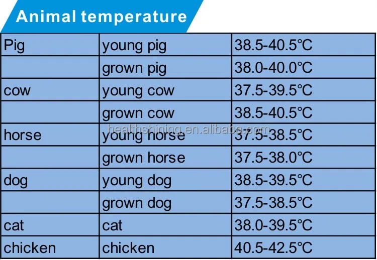 Oem C/f Degree Display Laser Thermometer Dog Rectal Veterinary Fast