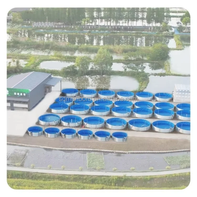 8m Diameter Height Shrimp Tilapia Fish Farming Equipment Aquaculture  Galvanized Tarpaulin Fish Pond Tanks
