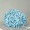 Azzurro Baby/Pezzo