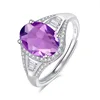 JH0369-1Amethyst