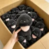 ตุ๊กตาผ้า 16 ตัว (ติดต่อเราเพื่อรับแคตตาล็อกที่มีมากกว่า 6000 แบบ)