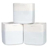 White - Light Blue