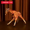 ยีราฟ-สล-b0011