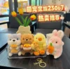 Cute Pet Family