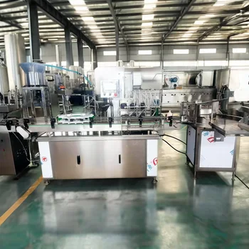 Manufacturer-Supplied Automatic Automotive Liquid Products Filling Machine Juice Lubricating Oil Antifreeze Glass Water Filli