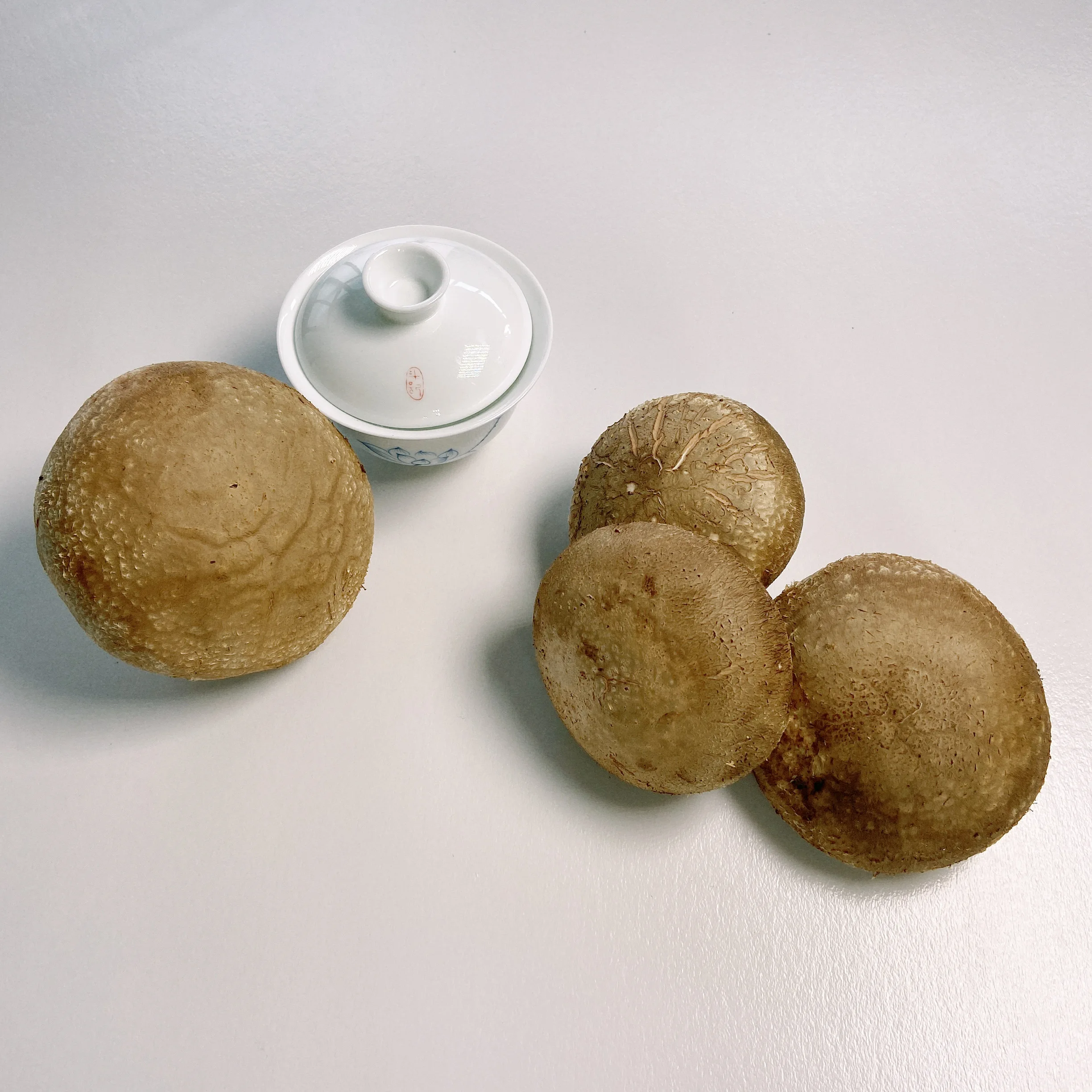 
 Оптовая продажа, большие вкусные свежие грибы шиитаке премиум класса  