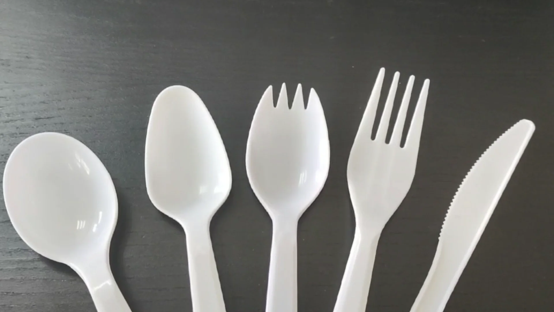 Factory Directly Supply Disposable Plastic Cutlery 3g Pp Strength
