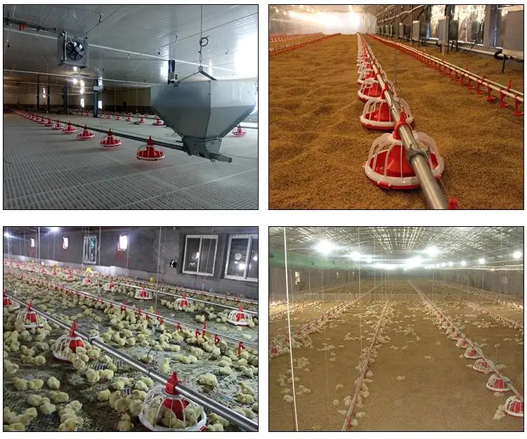 Poultry-Feed-Production-Line Feeding Line For Poultry Chicken Feeder Machine