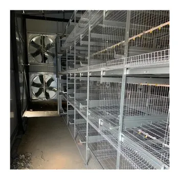 RETECH Poultry Cage Manufacturer Automatic Battery Chicken Breeding Cages Chicken Machine Multifunctional Provided Chicken Coop