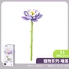 655072 water lily