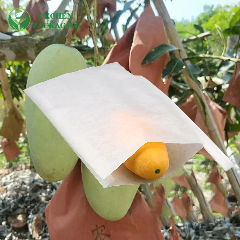Cubra las bolsas de papel de guayaba amarillas blancas Bolsa protectora impermeable