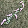 Glycines grimpantes, rose clair