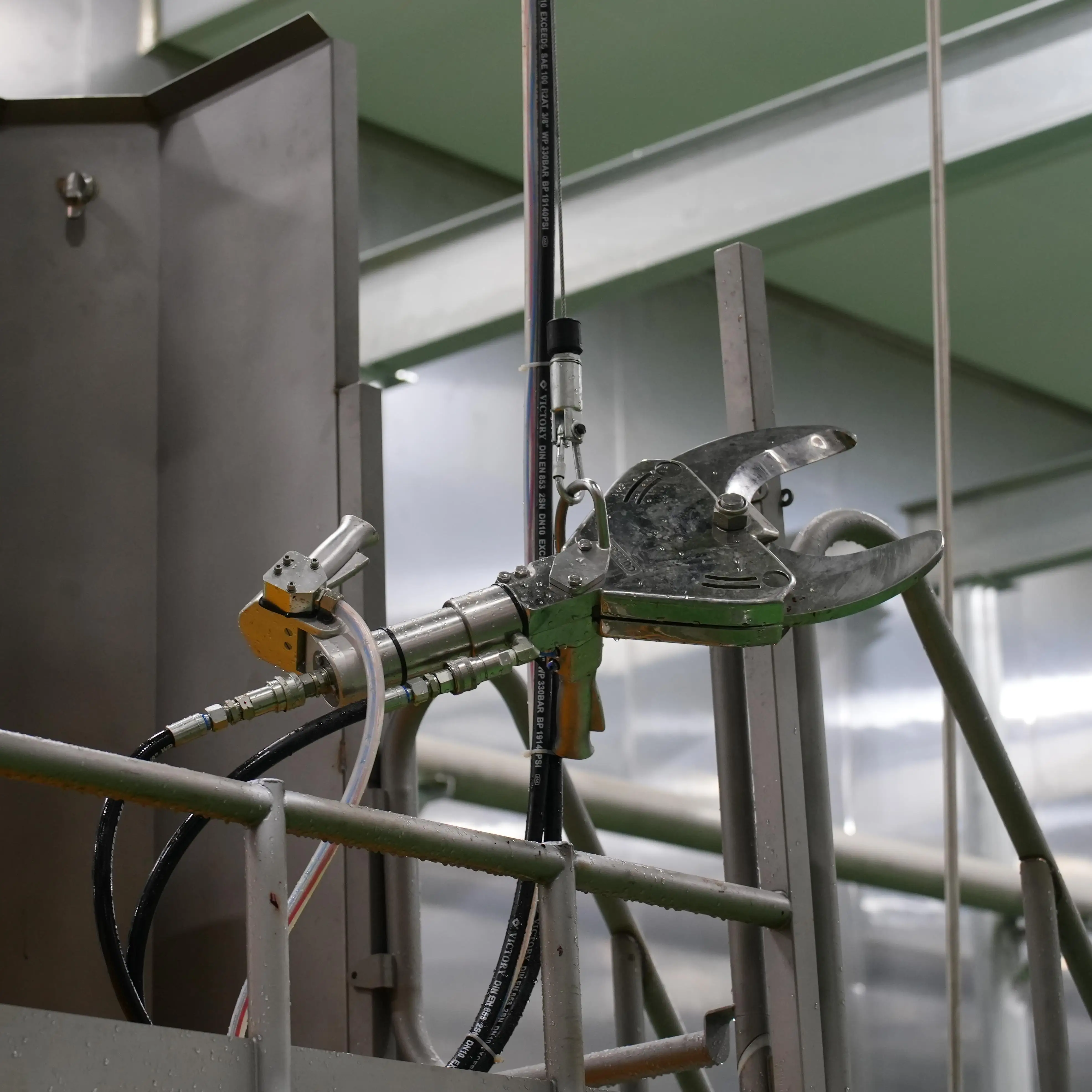 High quality halal cattle slaughtering production line equipment for beef slaughterhouse processing system