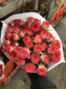 Alice bubble-30 fleurs - conservateur inclus