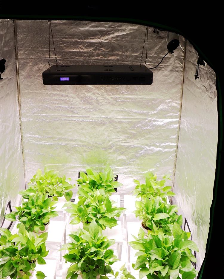 can you use a lcd panel as a grow light in stock