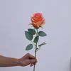 สีส้ม