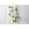 Guanyin Lotus with long branches - yellow flowers