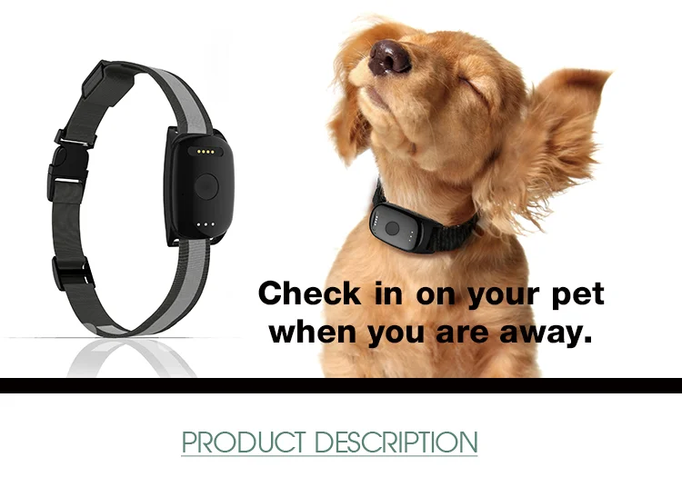 Dog locator hot sale chip