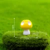 mushroom 02