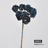 Berry Blue