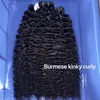 Burmese kinky 1 bundle