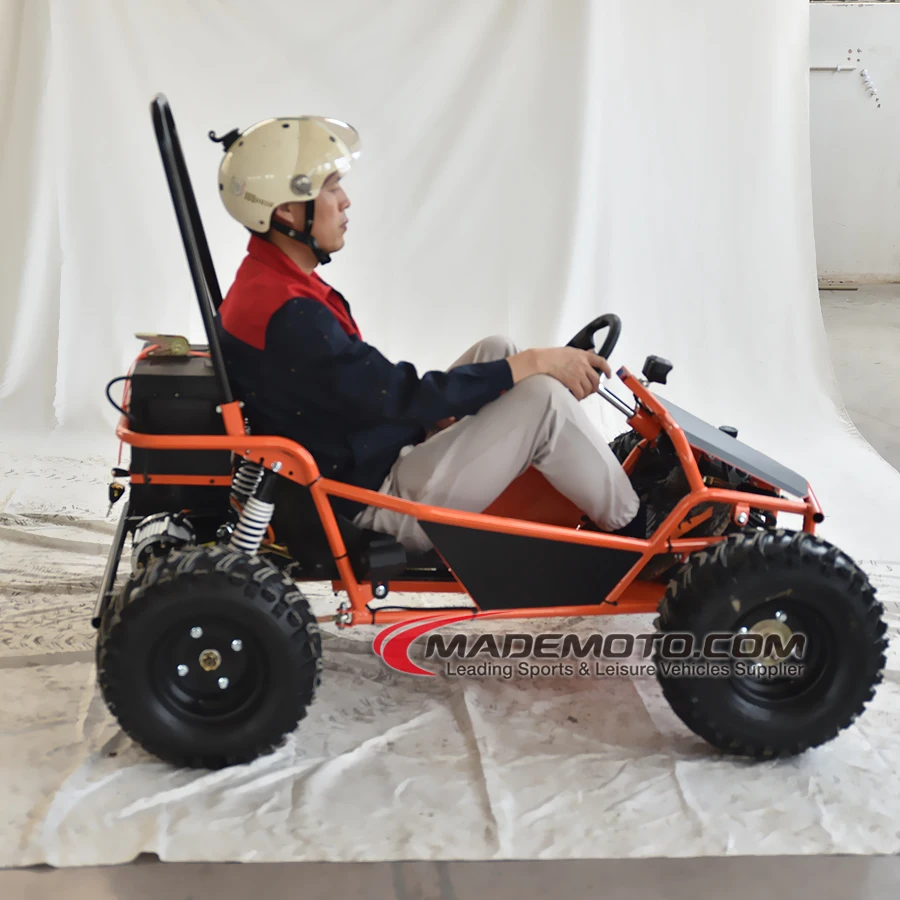 Go-Kart With Three-Phase and Gokart Frame 1000W Brushless Motor Electric Go Kart