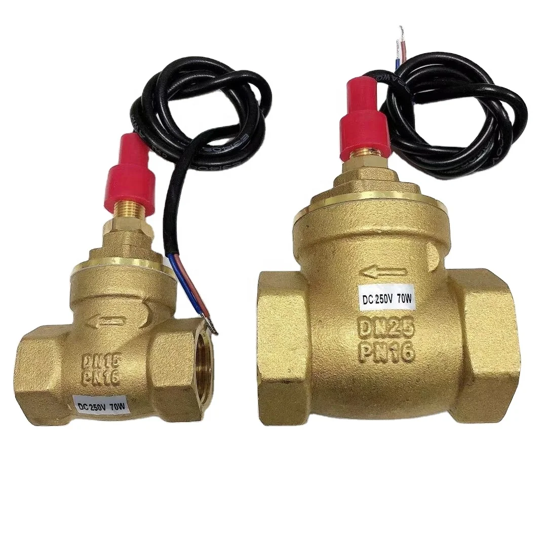 Water Flow Switch 220V Electronic Flowmeters Brass Baffle Flow Switches DN25 Automatic Water Flow Switch for Heat Pump