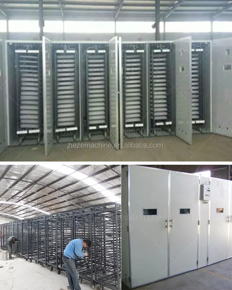 Egg Incubator3.jpg