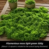 verde claro 500g