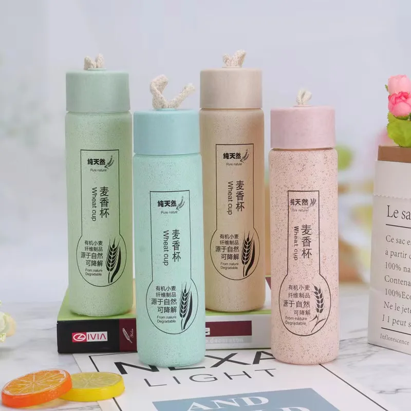 2023 Maixiang Cup Factory Wheat Straw Creative Gifts Cup Student Double Glass Cup Printed logo Advertising Bottle