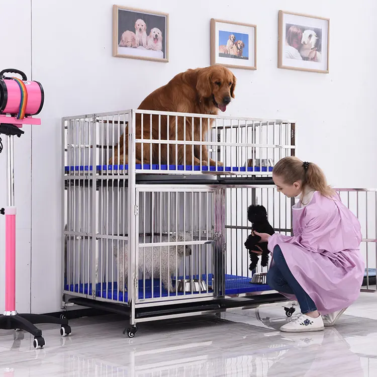 2-Door Stainless Steel Dog Crate with Plastic Tray Folding Pet Cage Featuring Solid Pattern
