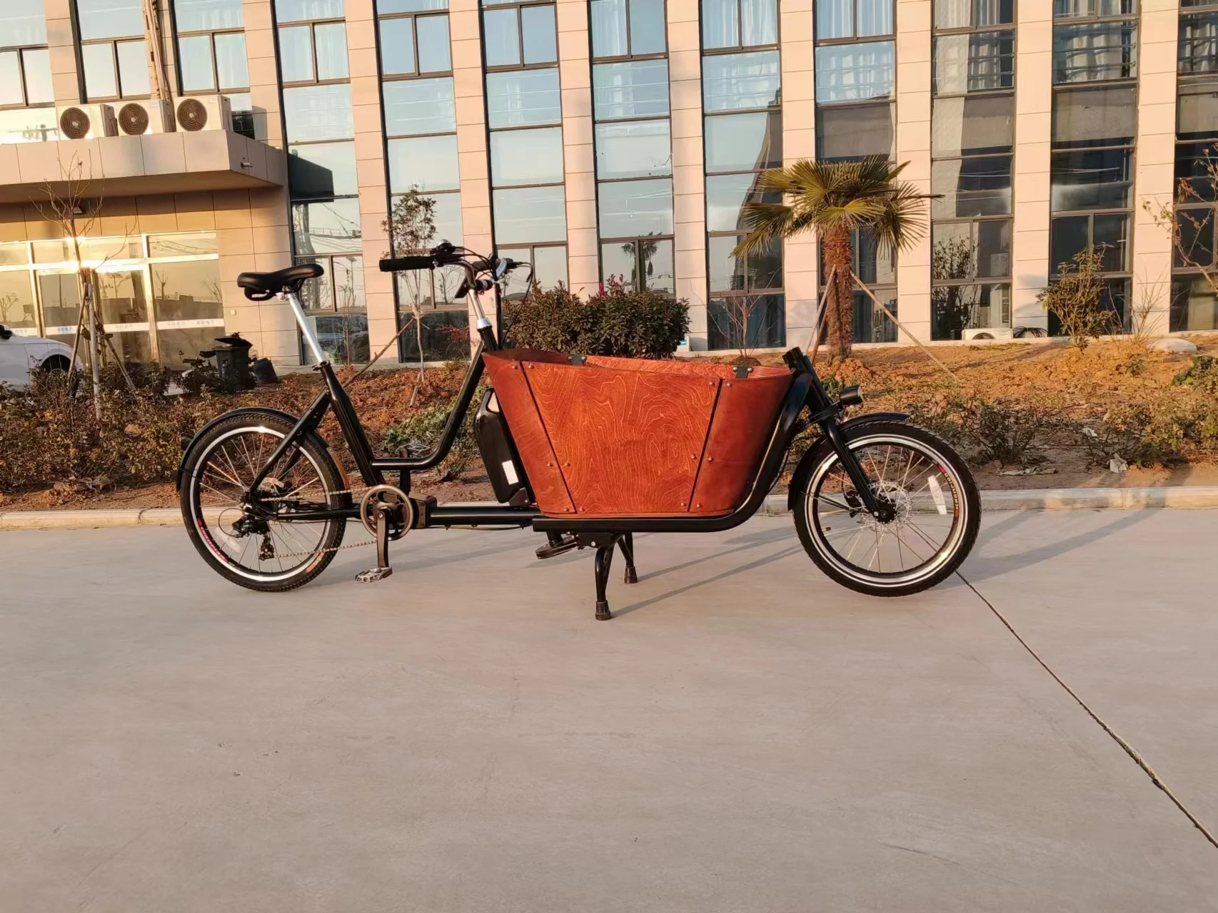 Cargo Bike Electric Cargo Bike China Manufacturer 2 Wheel Electric ...