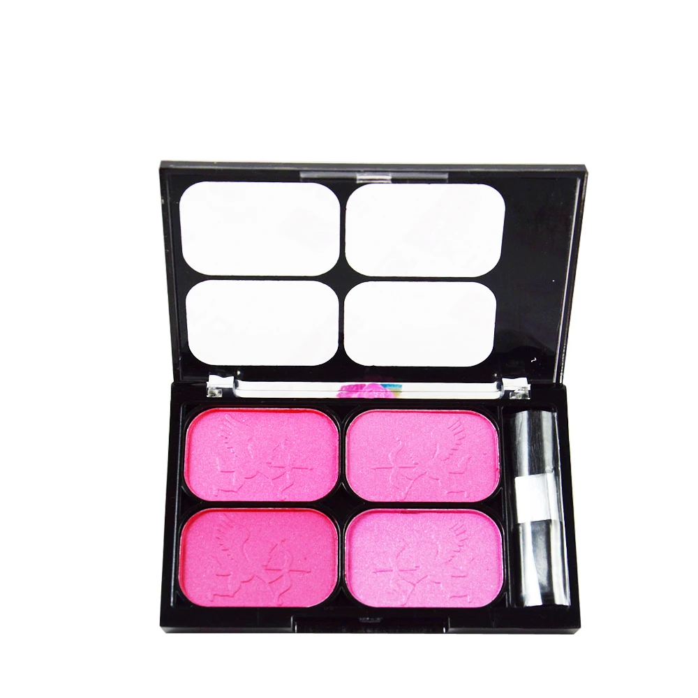 blush makeup kit