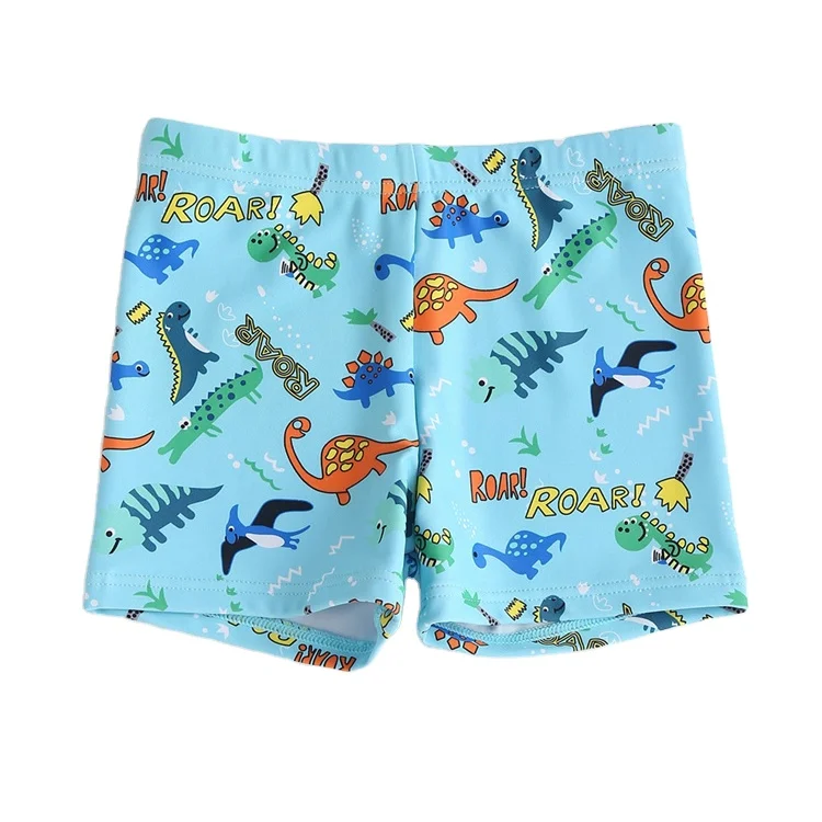 Dinosaur Print Quick Dry Swim Trunks for Kids