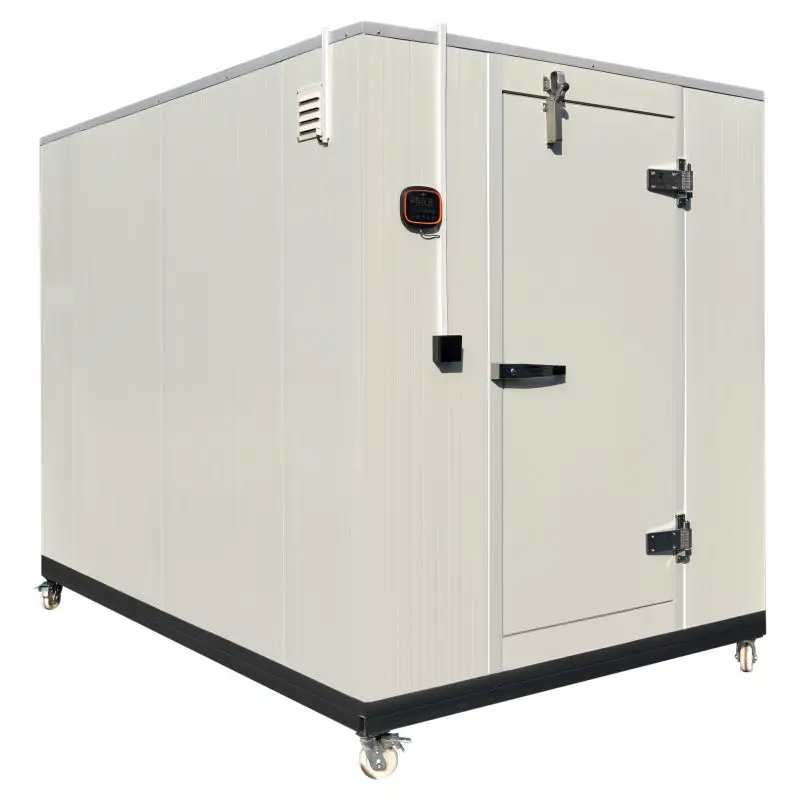 Industrial Refrigerator Walk in Cooler Mini Cold Storage Freezer Coldroom  Small Cold Rooms