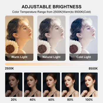 20w Selfie Portable Phone Rechargeable Ring Light Phone Adjustable Fill for Live Stream Battery Selft Light  YM 200 detail image