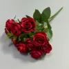 Rojo