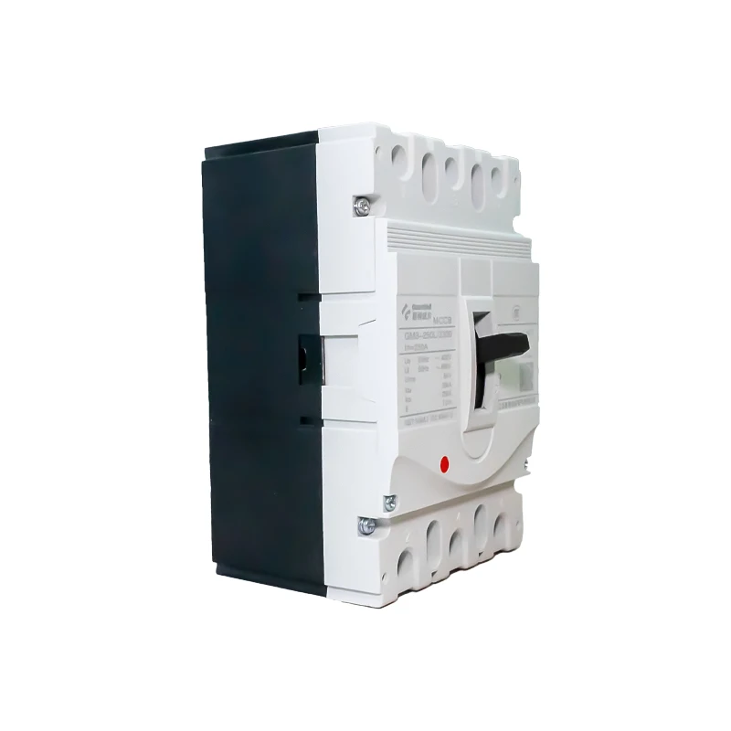 Guardwell GuardWell Brand Sales Good Quality GM3-250L-3300 250A Electrical Molded ...