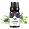juniper
